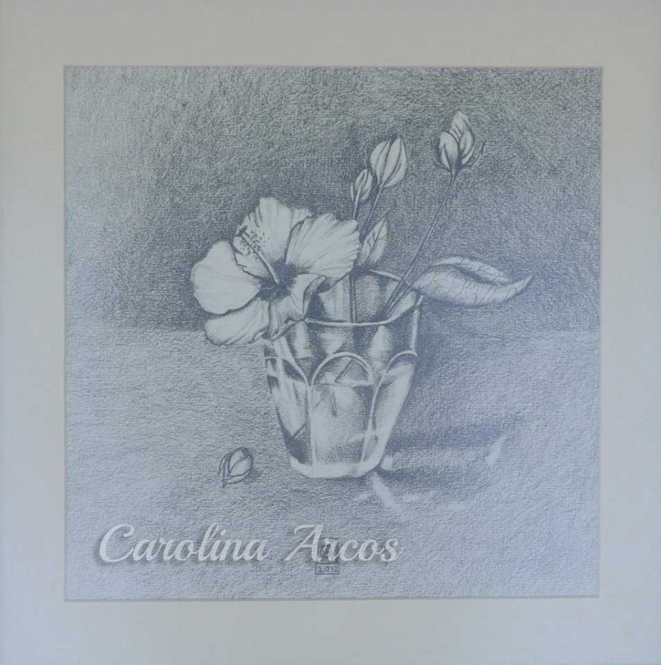 drawing of Hibiscus flower in a glass