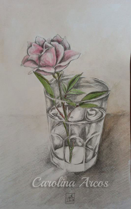 drawing of a rose in a glass
